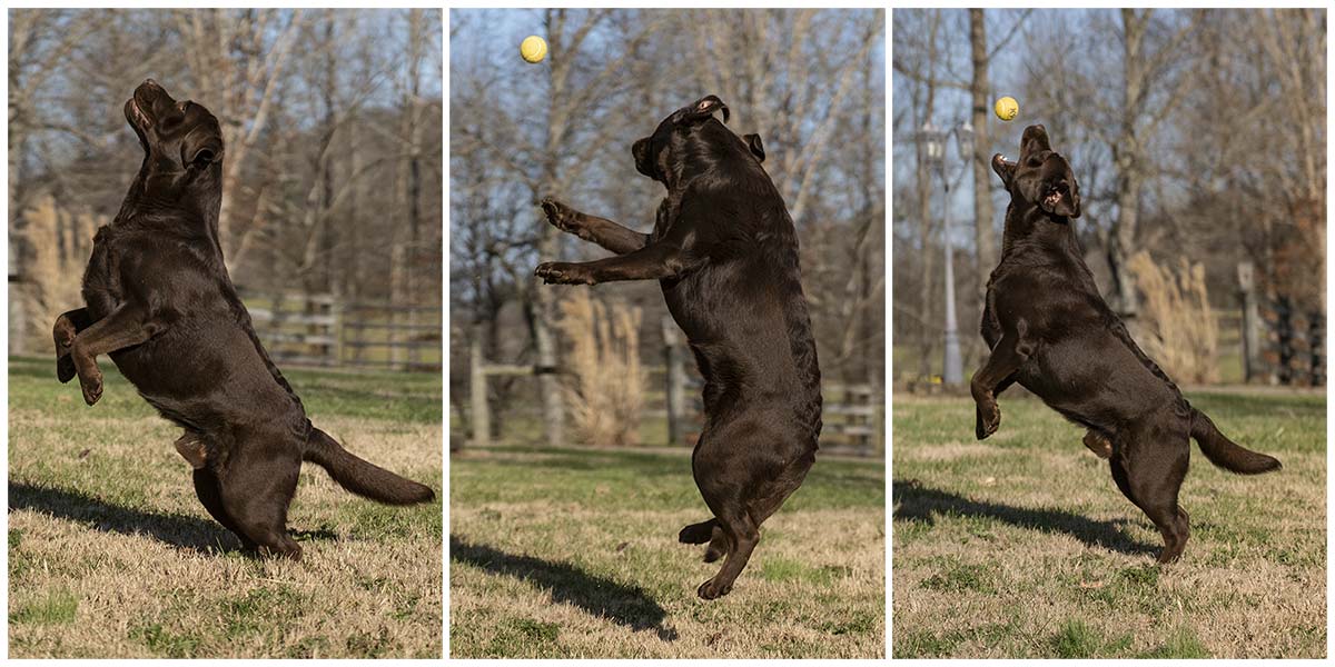 Drake Jumping for Ball